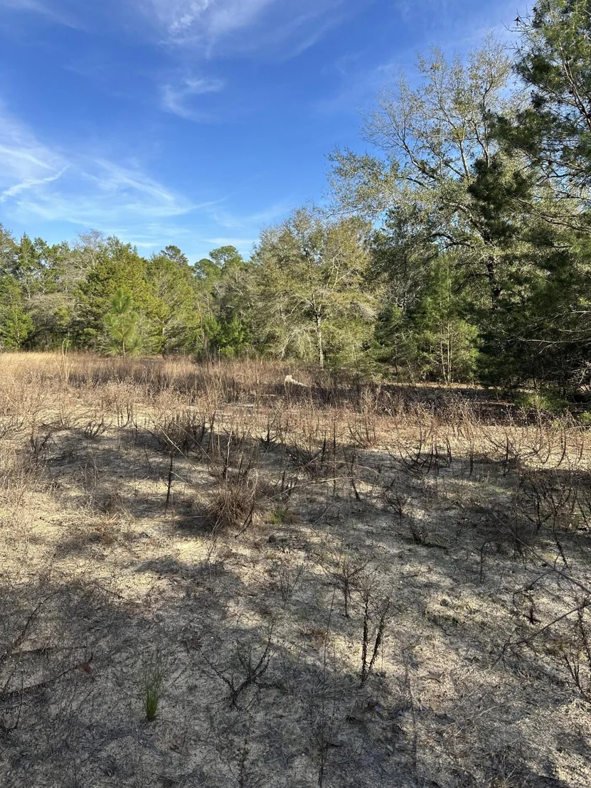 Photo of 5225 Kimp Road