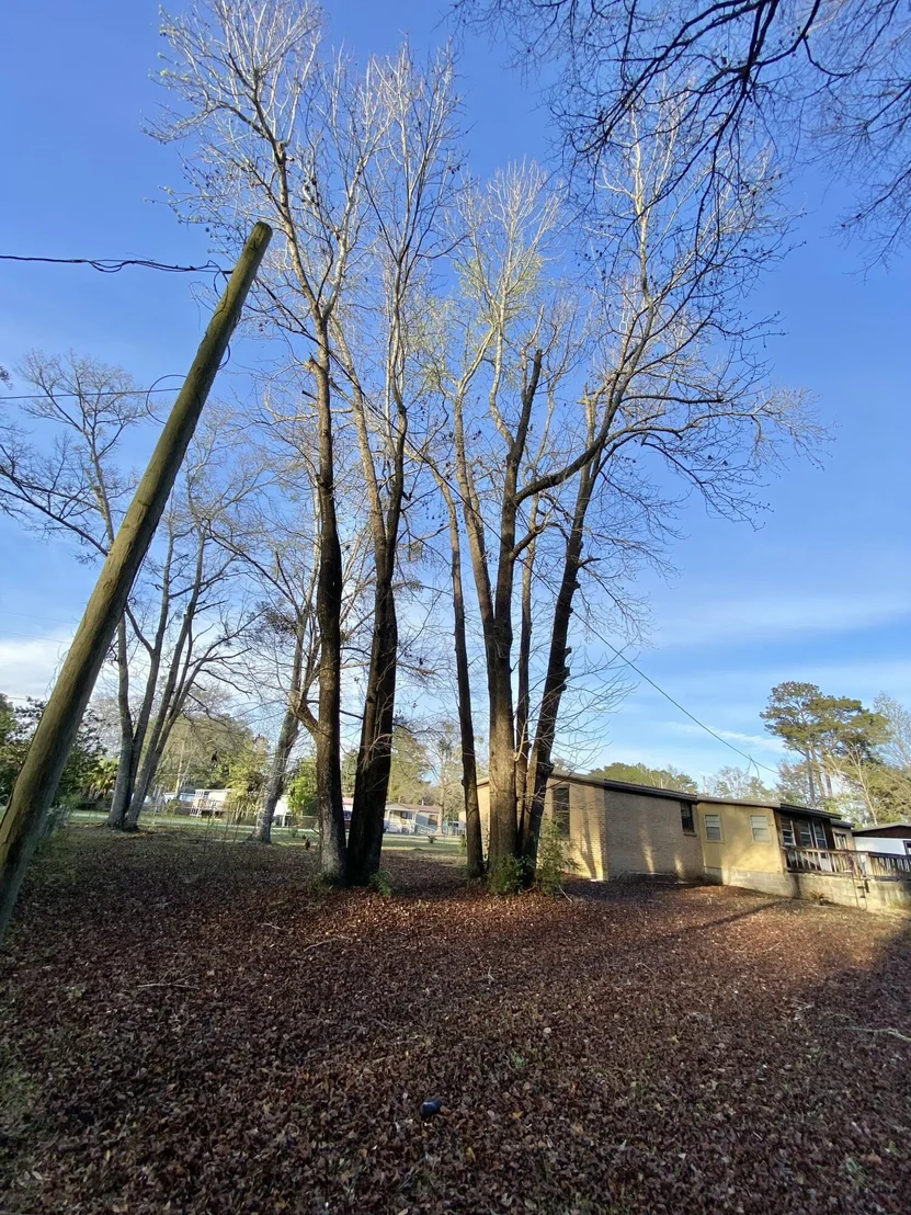 Photo of 46 Andy Drive