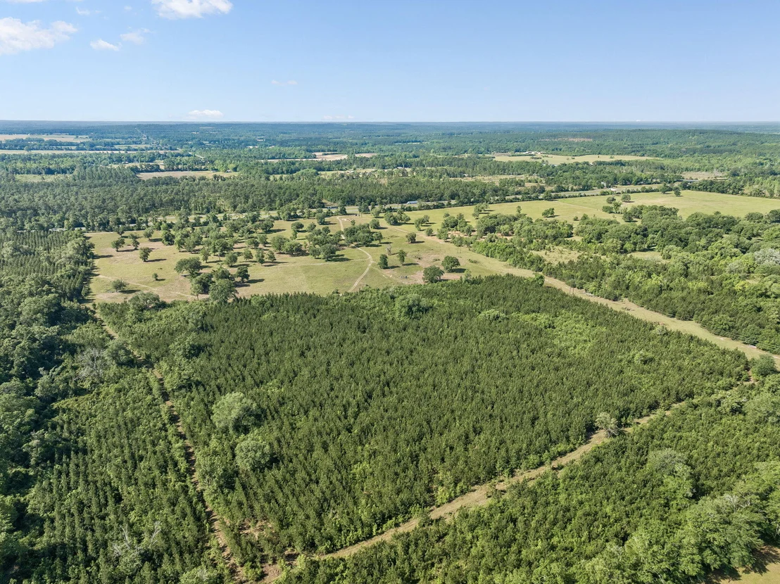 Photo of 1205 Orange Hill Road