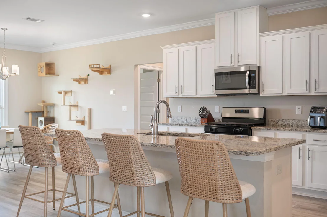 Photo of 3963 Morning Dew Drive