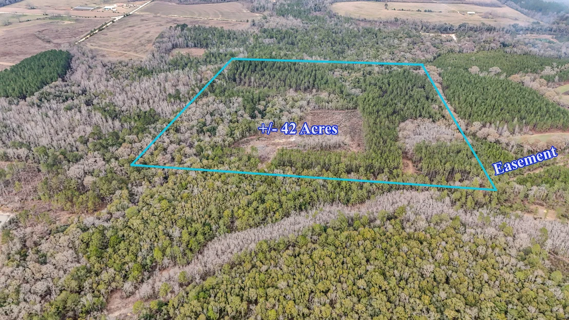 Photo of 4769 DAVIS RD