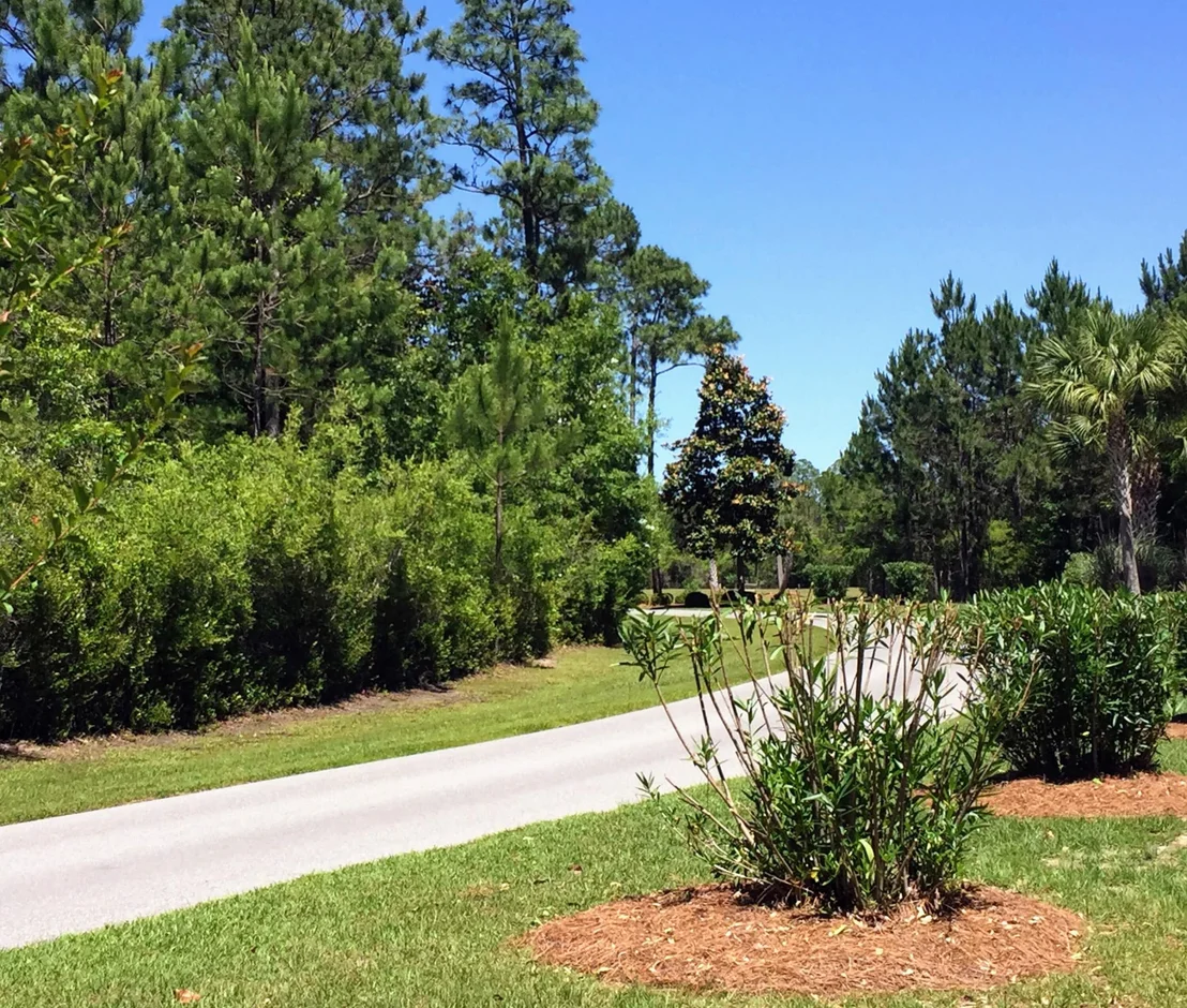 Photo of Lot 71 Harbour Trace