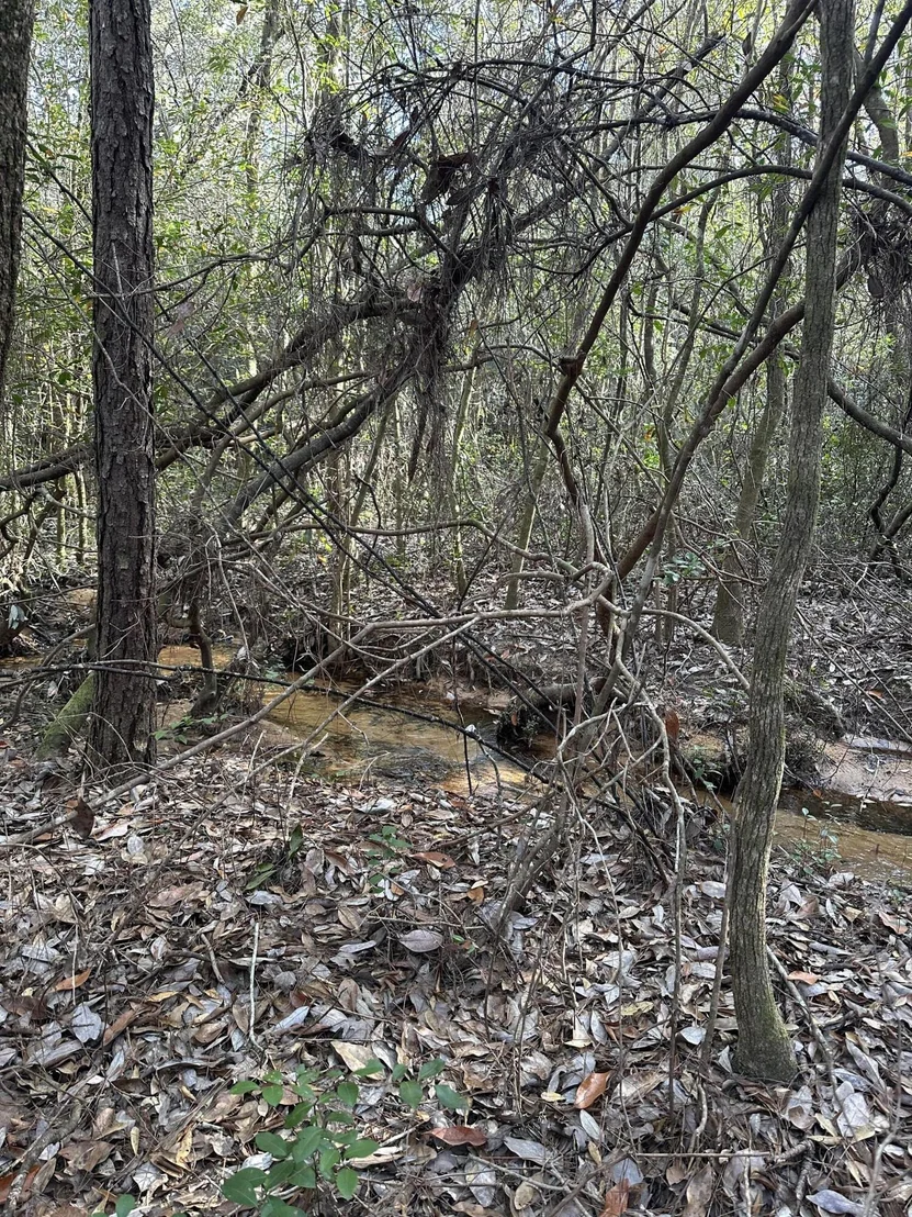 Photo of 5225 Kimp Road