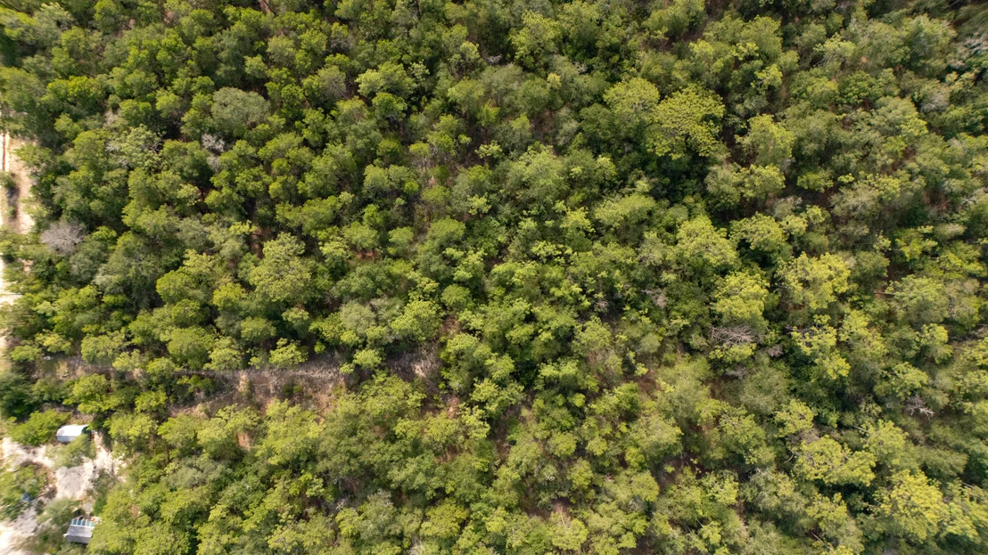 Photo of Lots 7-10 Tarpon Lane