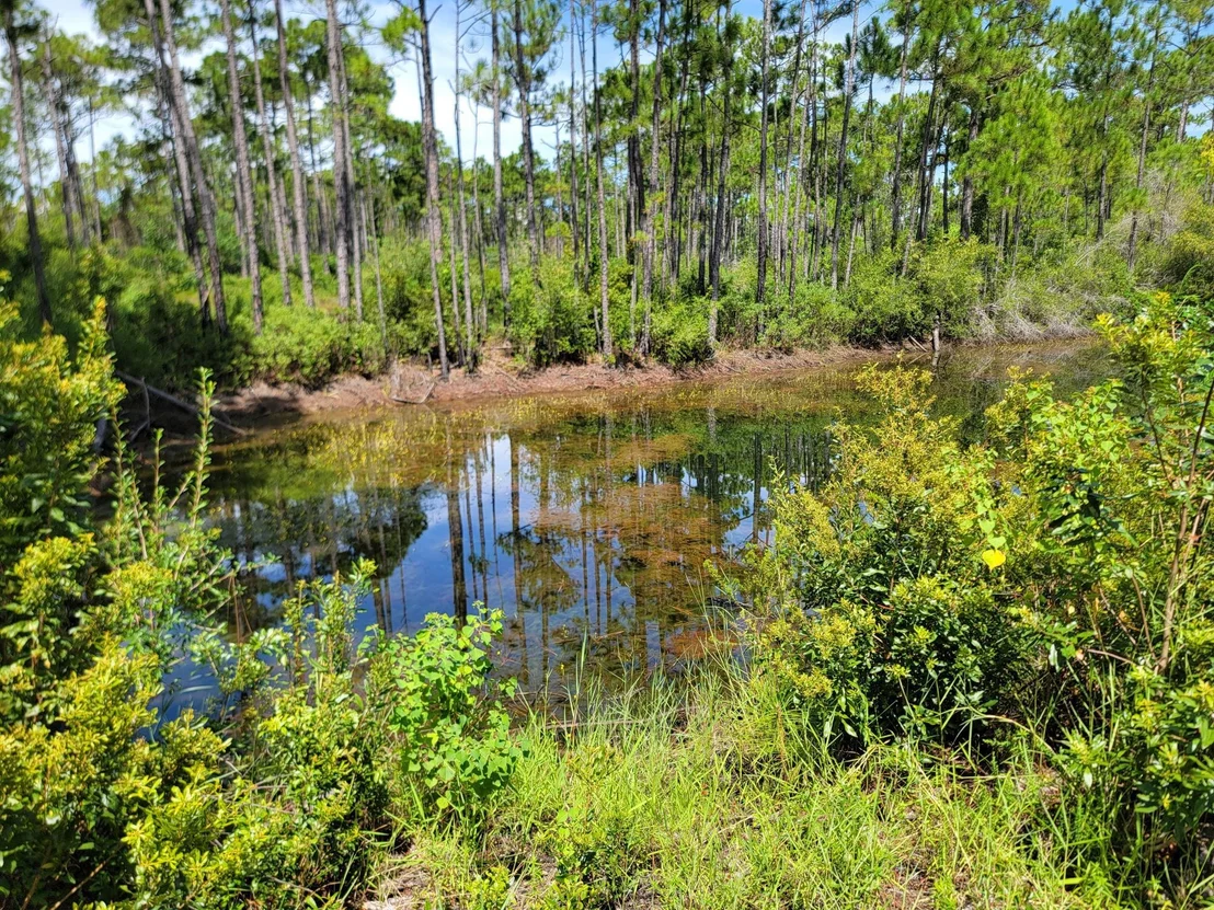 Photo of Lot 8 Delbert Lane