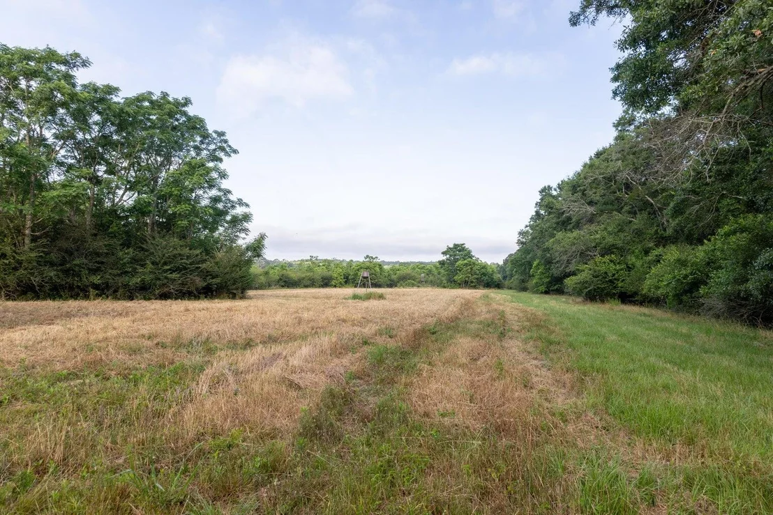 Photo of 405 Walden Lane