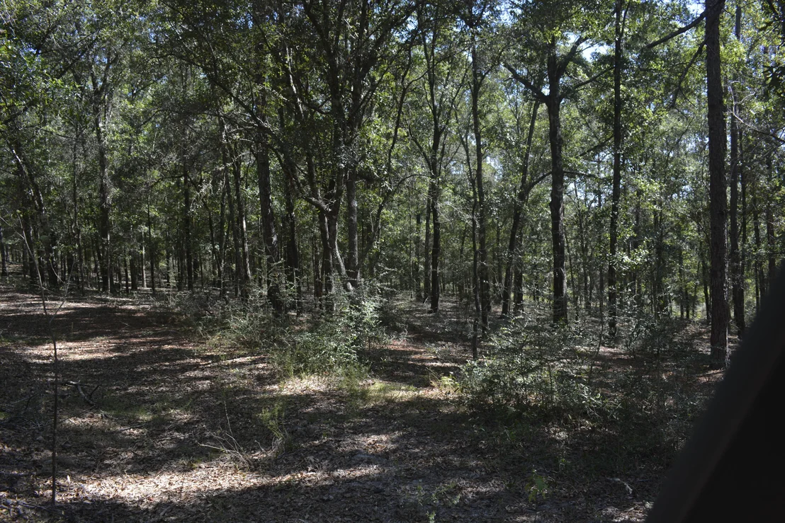 Photo of 2928 Aplin (33 ac.) Road