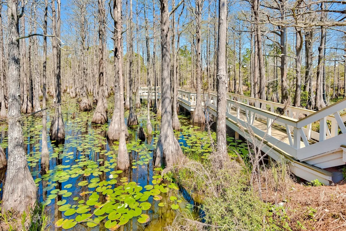 Photo of Lot 10 Cypress Drive