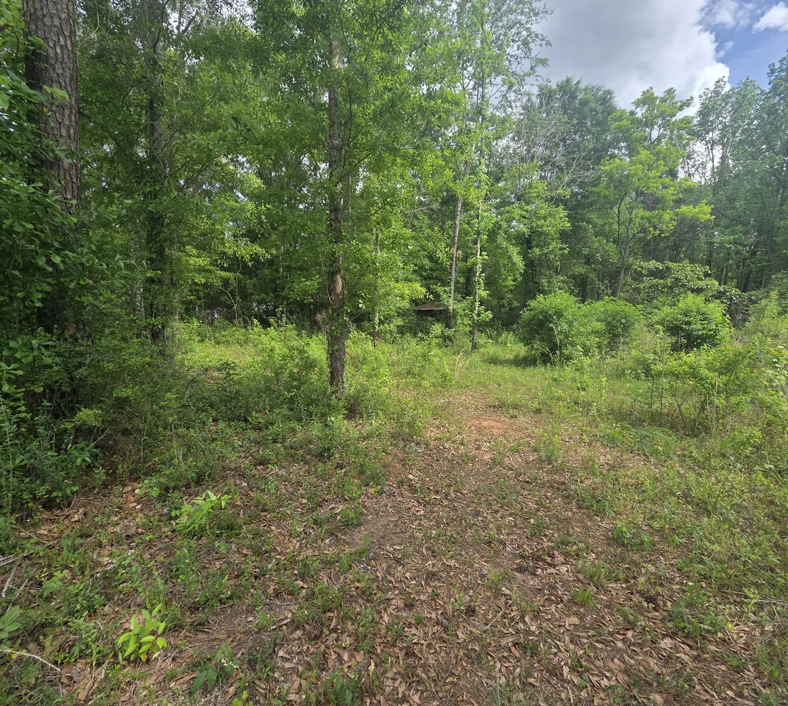 Photo of 2000 Molino Road
