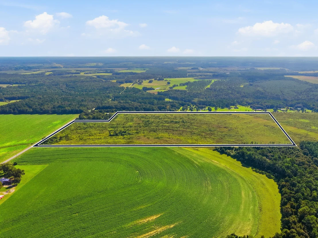 Photo of 10 Acres I Davidson Road