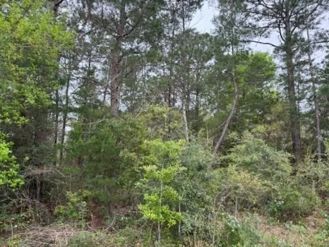 Photo of 7117 Snug Waters Road