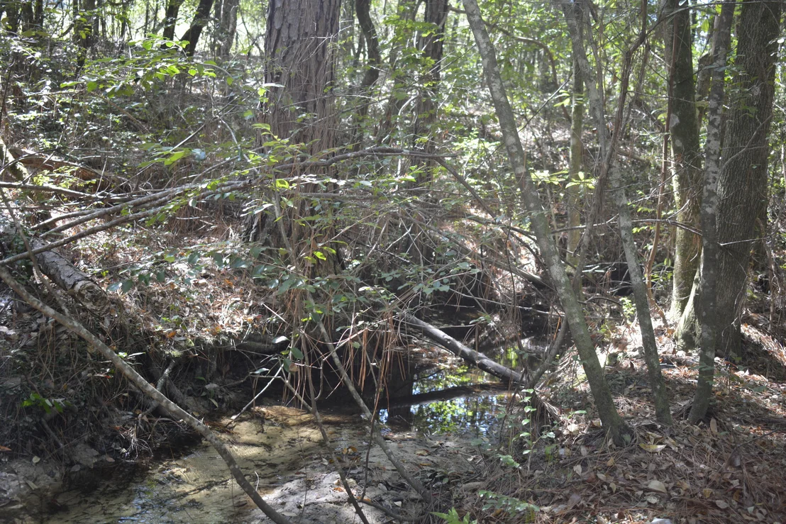 Photo of 2928 Aplin (33 ac.) Road