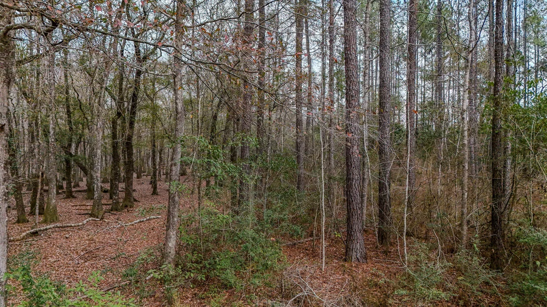 Photo of 4769 DAVIS RD