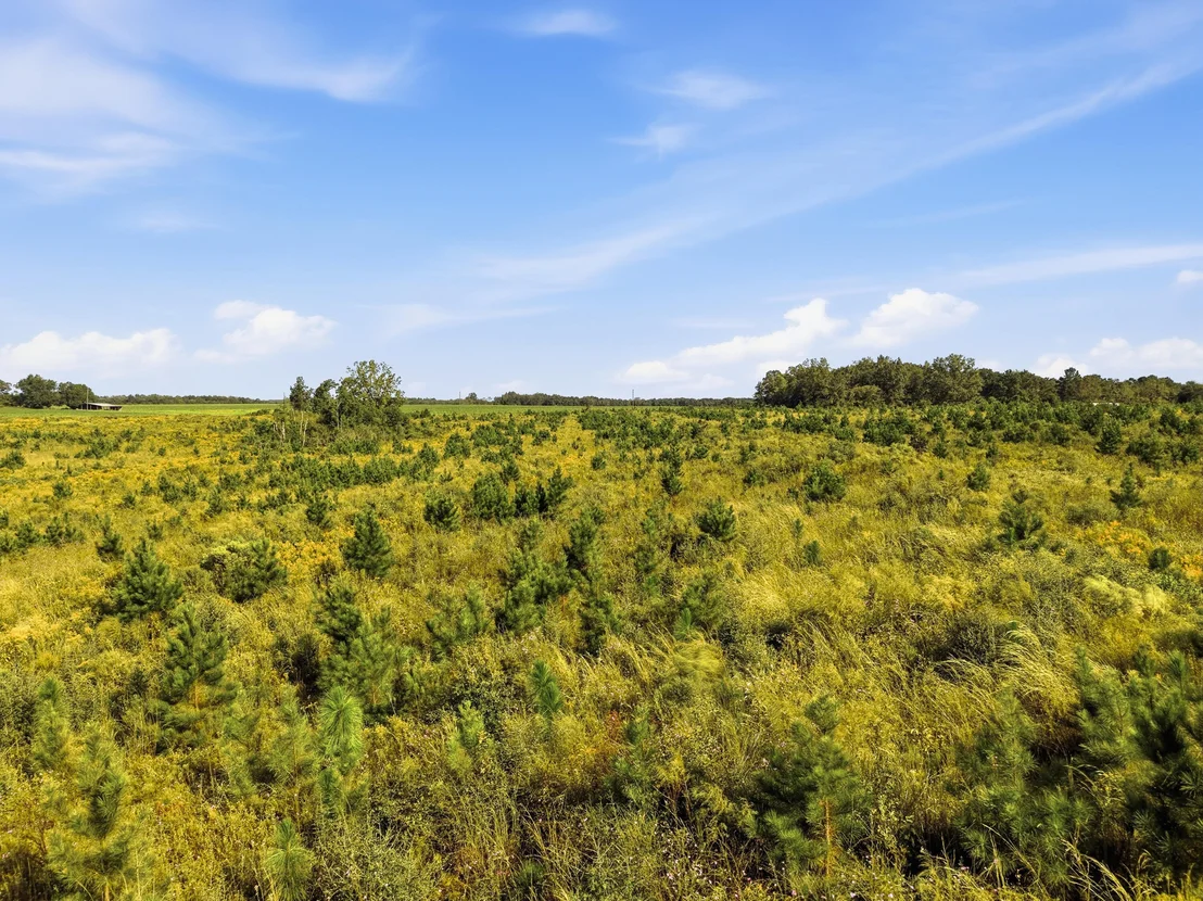 Photo of 10 Acres I Davidson Road