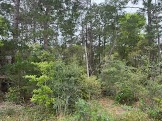 Photo of 7117 Snug Waters Road