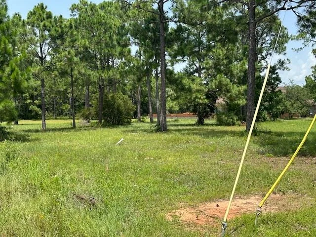 Photo of 1076 Pearson Road