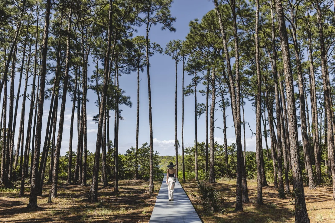 Photo of 285 Twisted Pine Trail