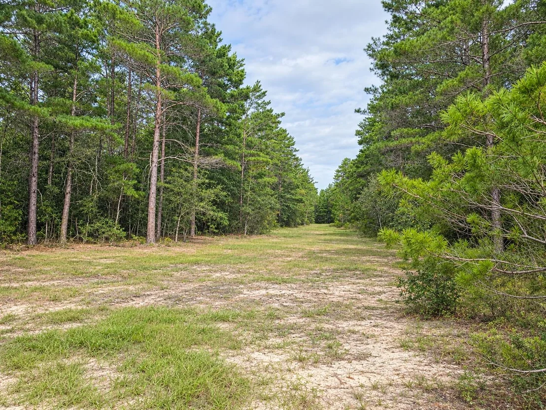 Photo of 134 Post Oak Road