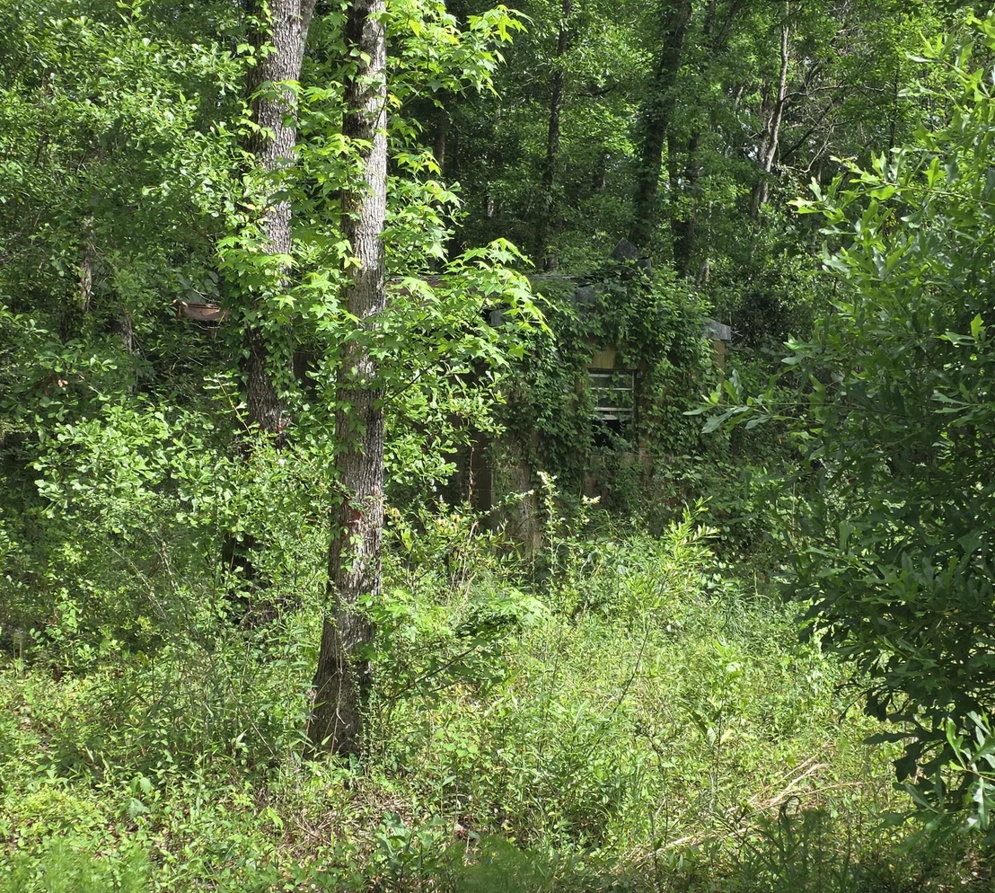 Photo of 2000 Molino Road