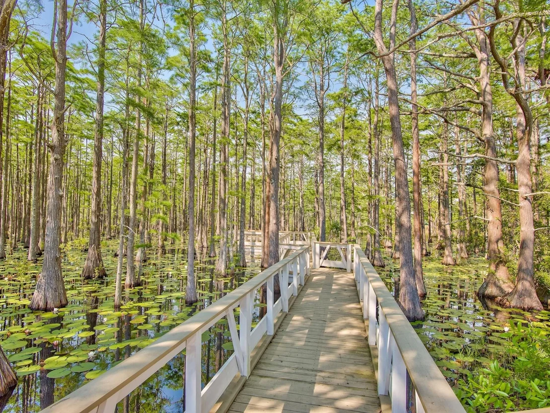Photo of Lot 6 Cypress Drive