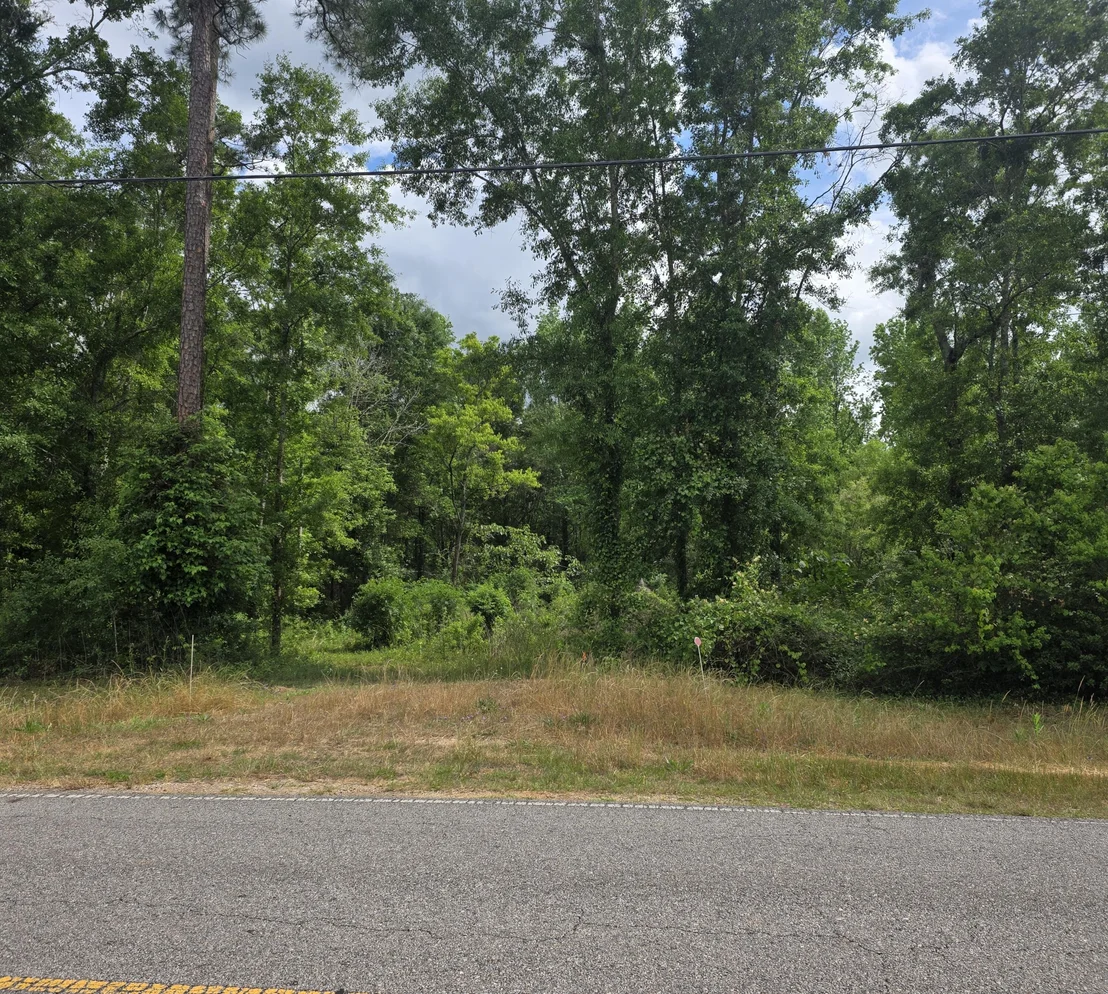 Photo of 2000 Molino Road