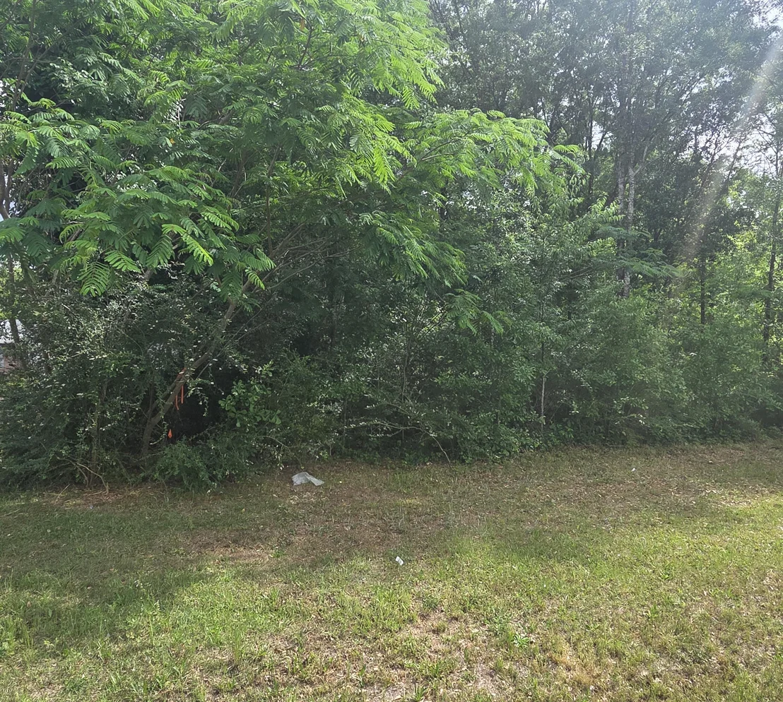 Photo of 2000 Molino Road