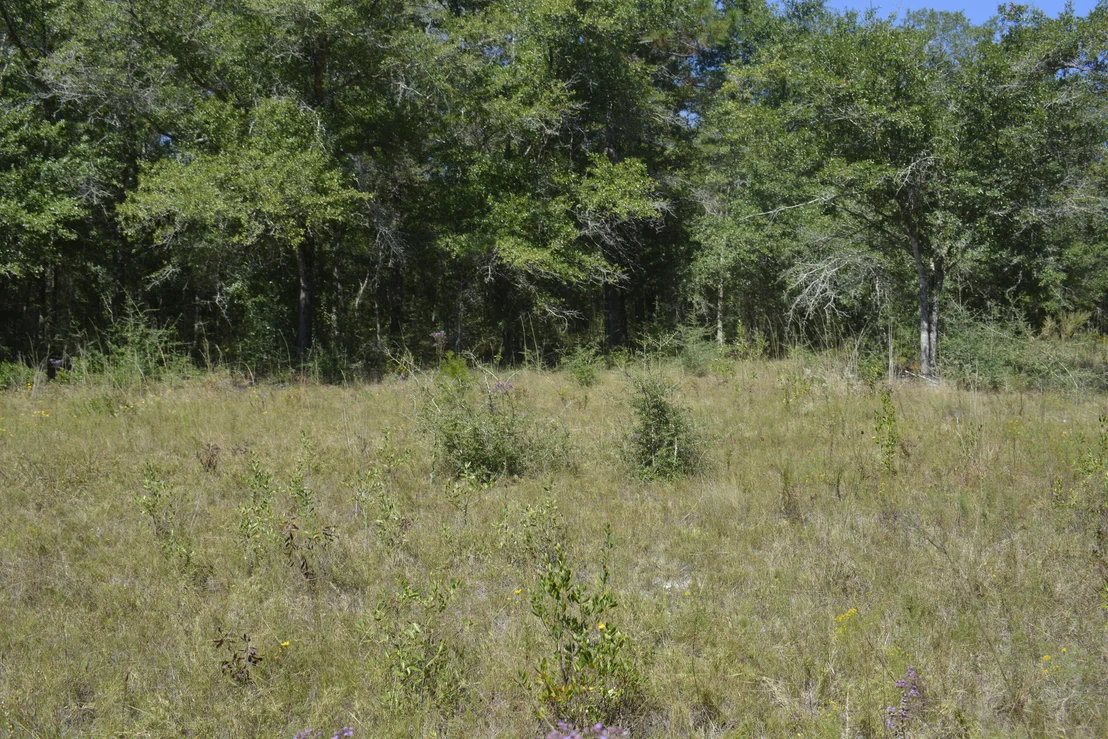 Photo of 2928 Aplin (33 ac.) Road