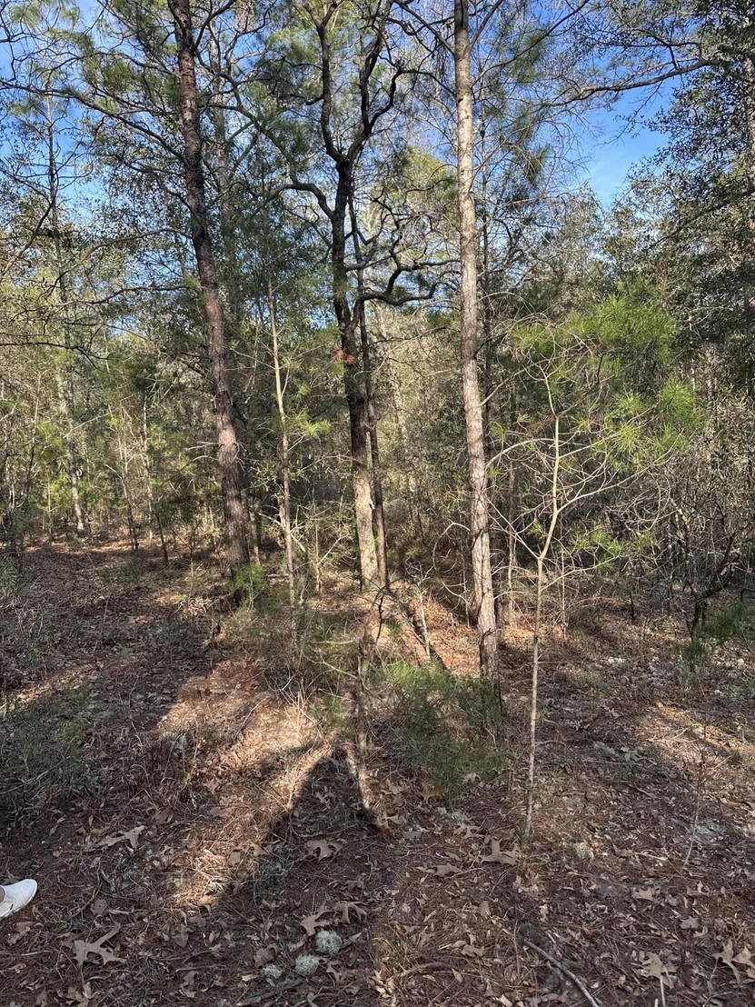 Photo of 5225 Kimp Road