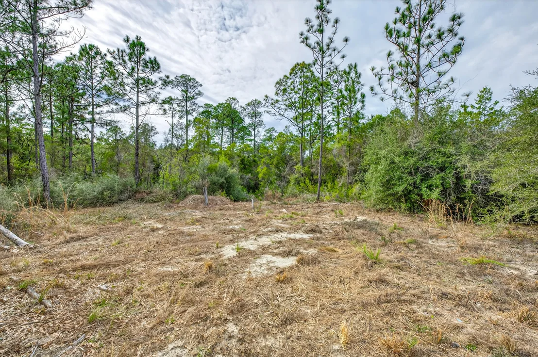 Photo of 3842 Bear Head Road