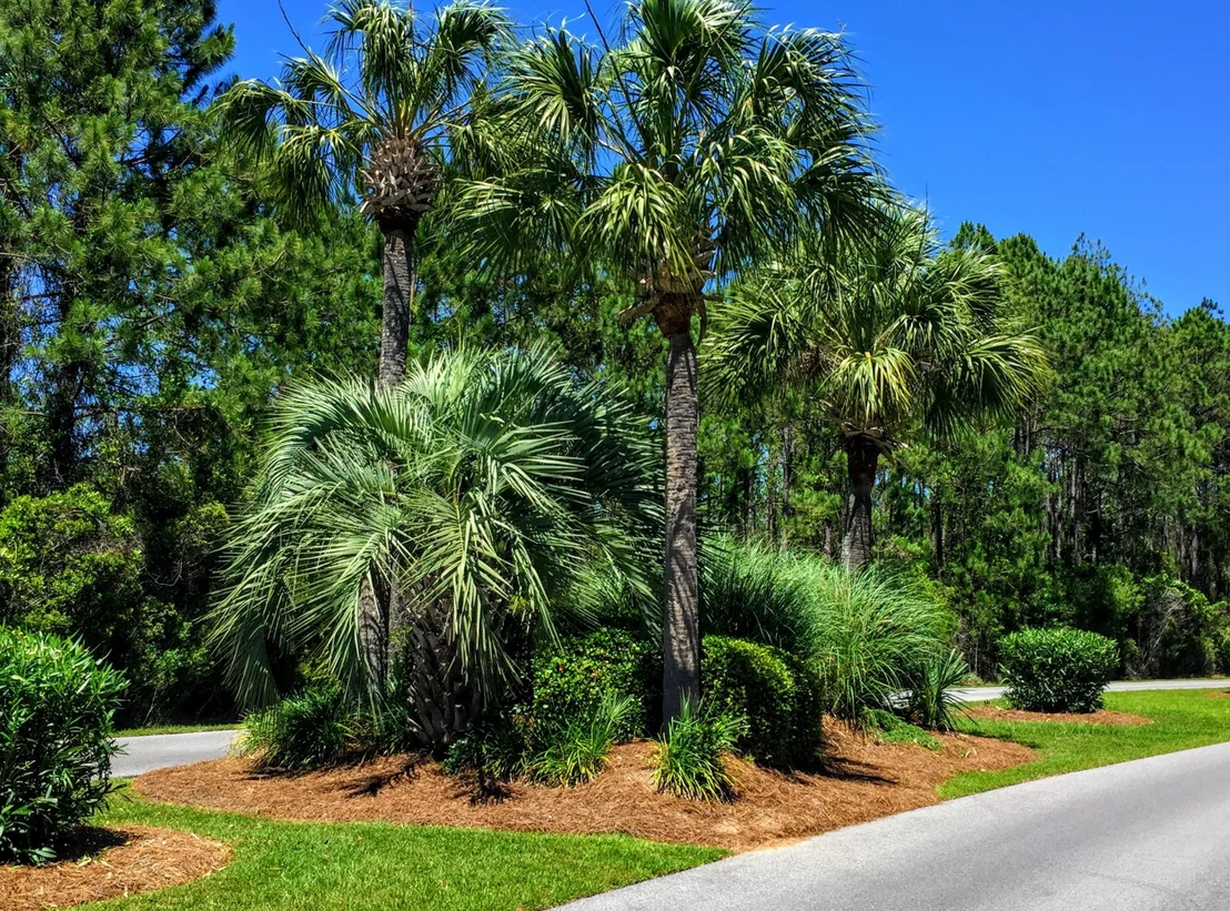 Photo of Lot 108 Bay Harbour Boulevard