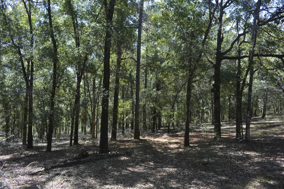 Photo of 2928 Aplin (33 ac.) Road