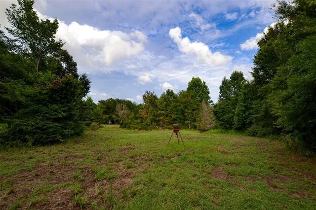 Photo of 8690 County Road 1119