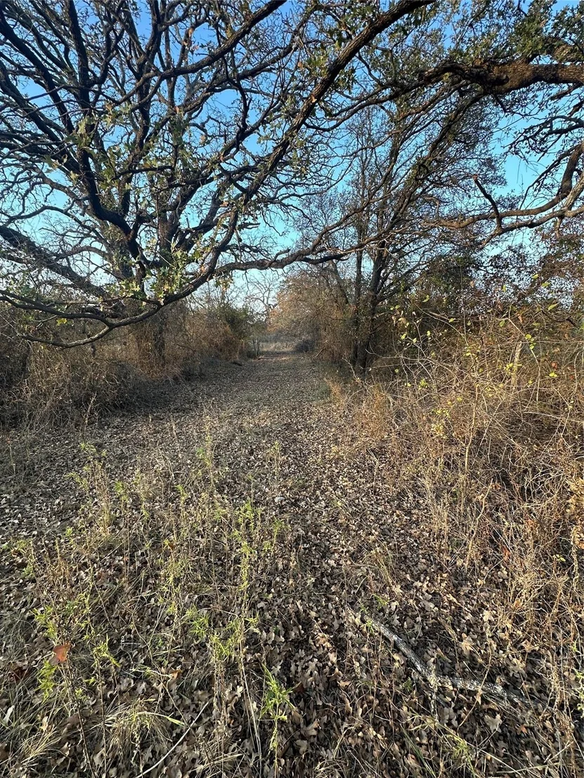 Photo of TBD Thomas 80 Ranch