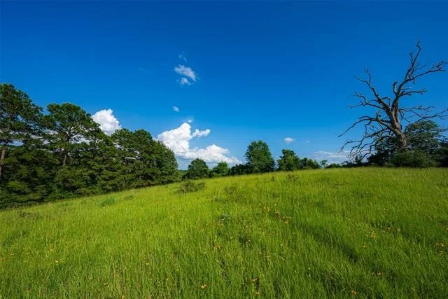 Photo of 2030 County Road 1640