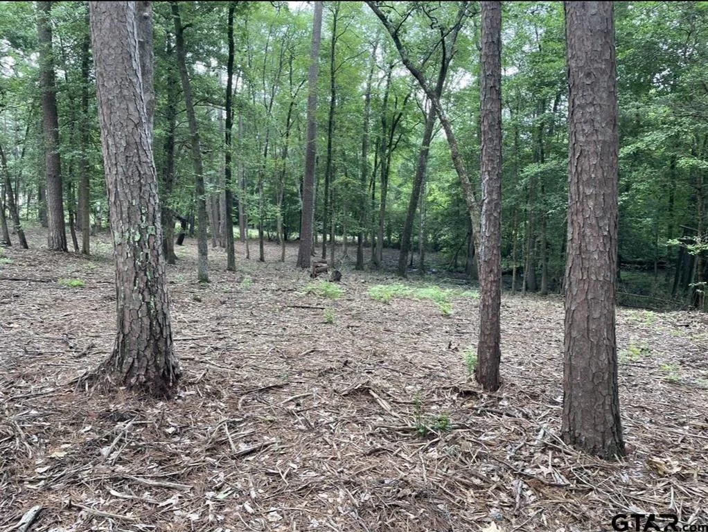 Photo of 1688 County Road 1597