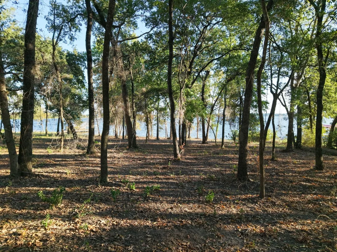 Photo of 367 PR 5826