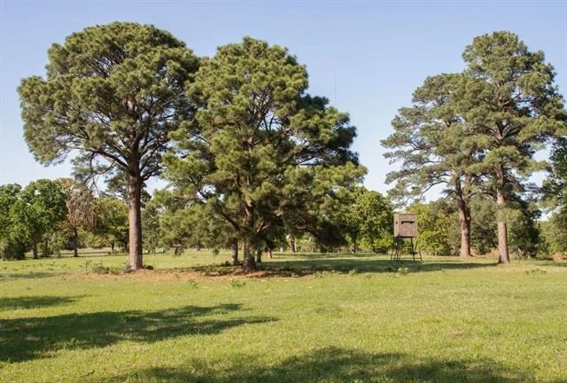 Photo of 490 John Craft Road
