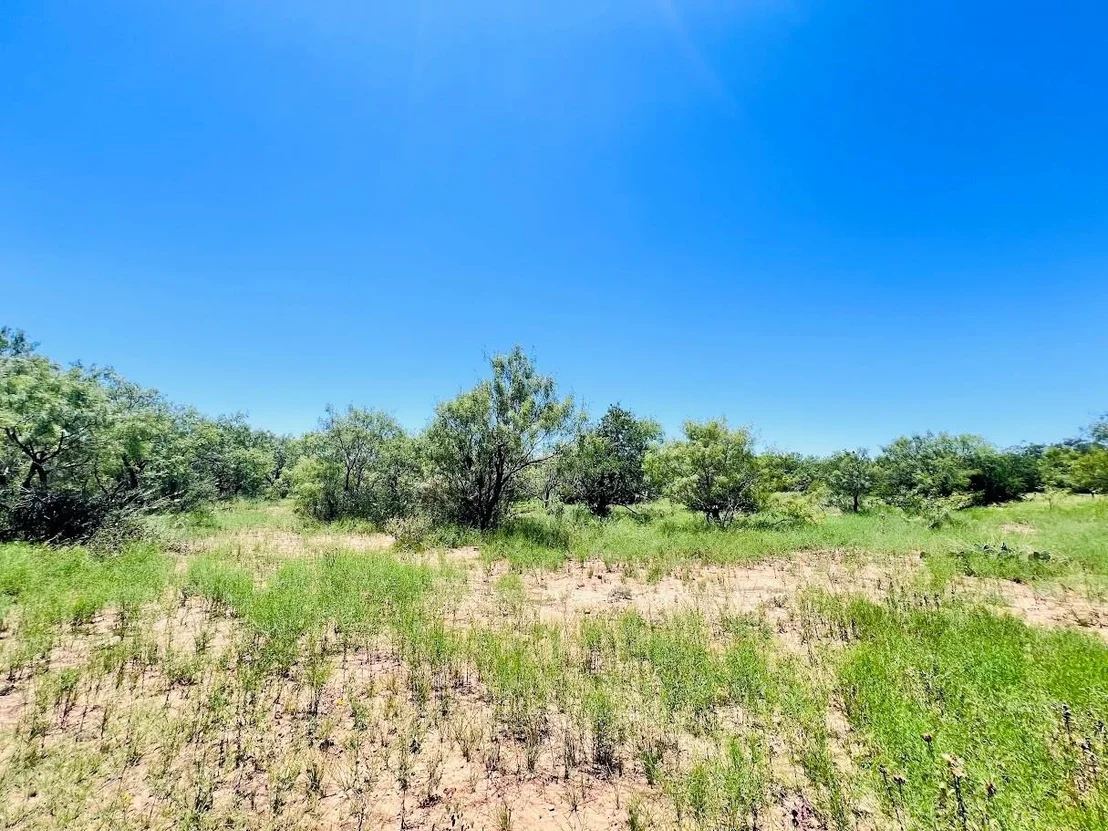 Photo of 1349 County Road 152