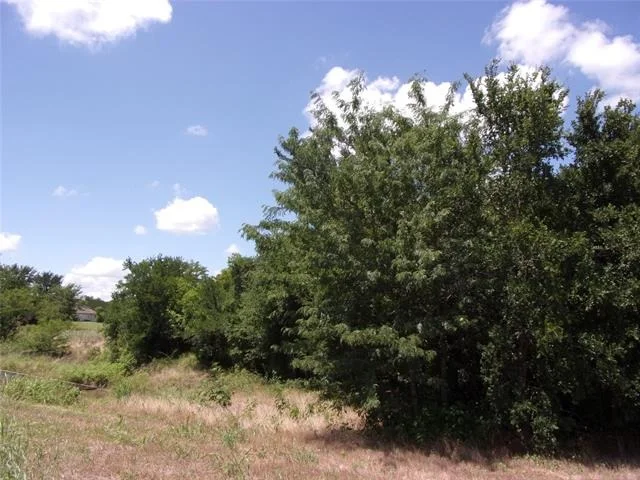 Photo of 4172 Willow Oak Bend