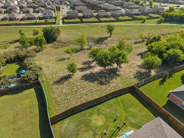 Photo of 2025 Aster Trail