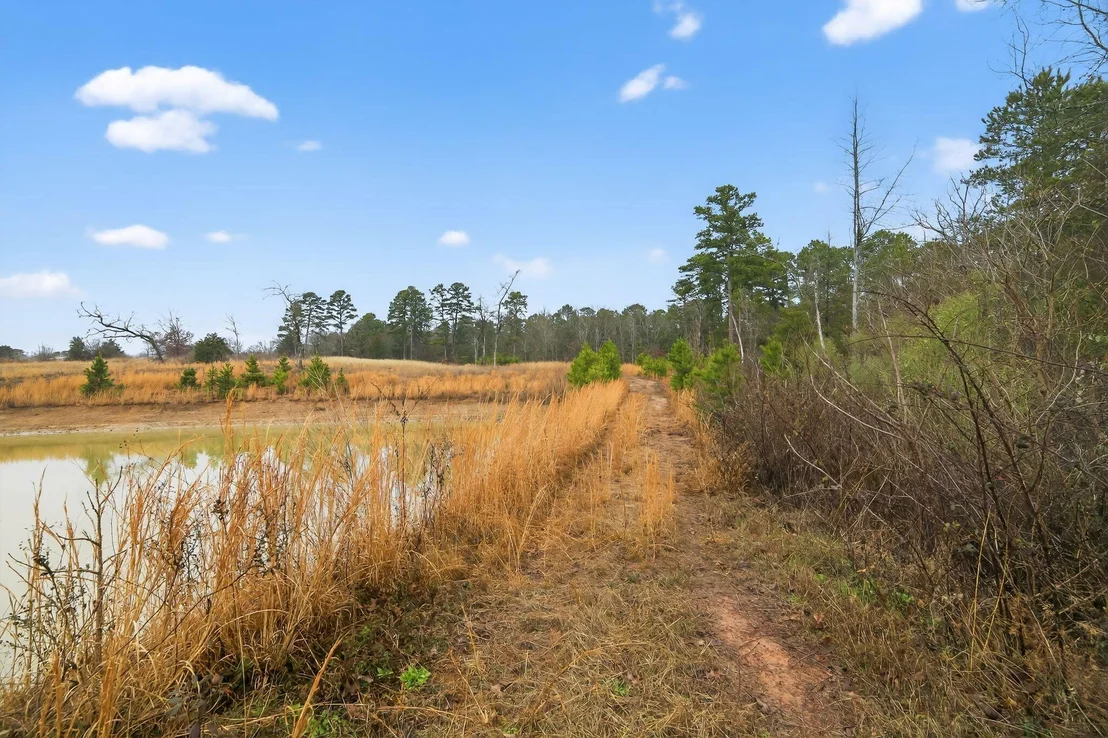 Photo of 868 County Road 2920
