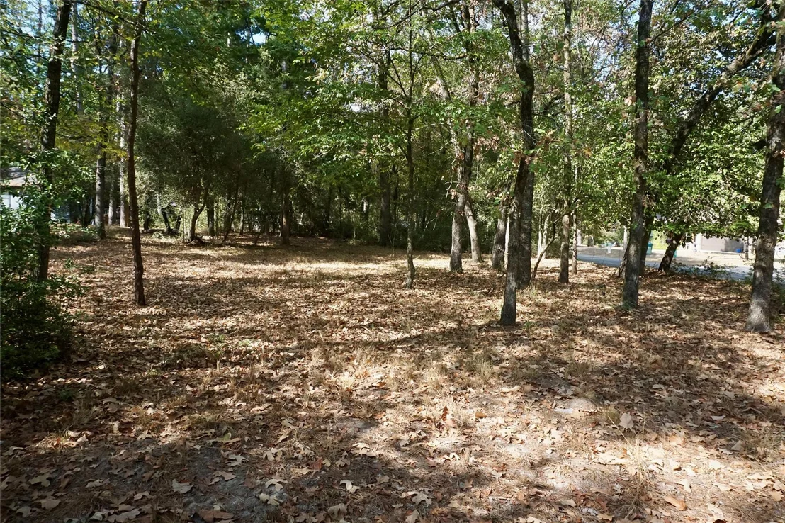 Photo of TBD Lot 146 (Evening Shadows Trail) Trail