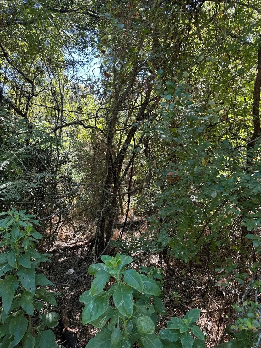Photo of 15037 Golf Drive