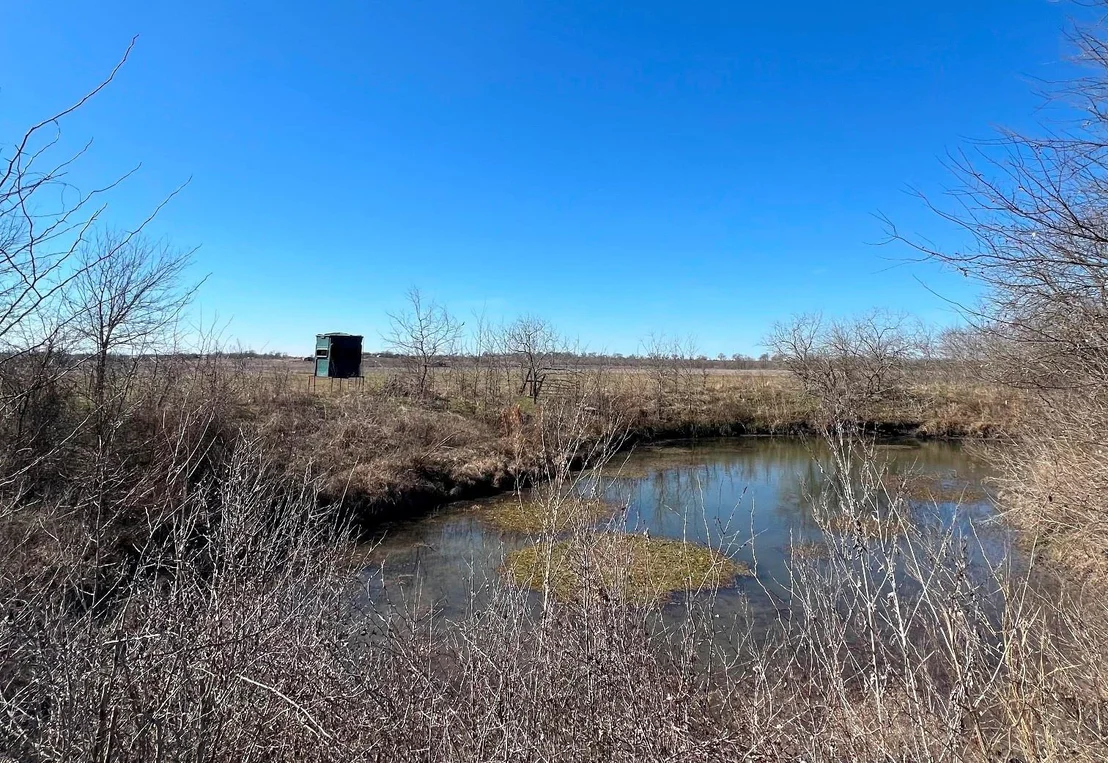 Photo of 9595 County Road 262