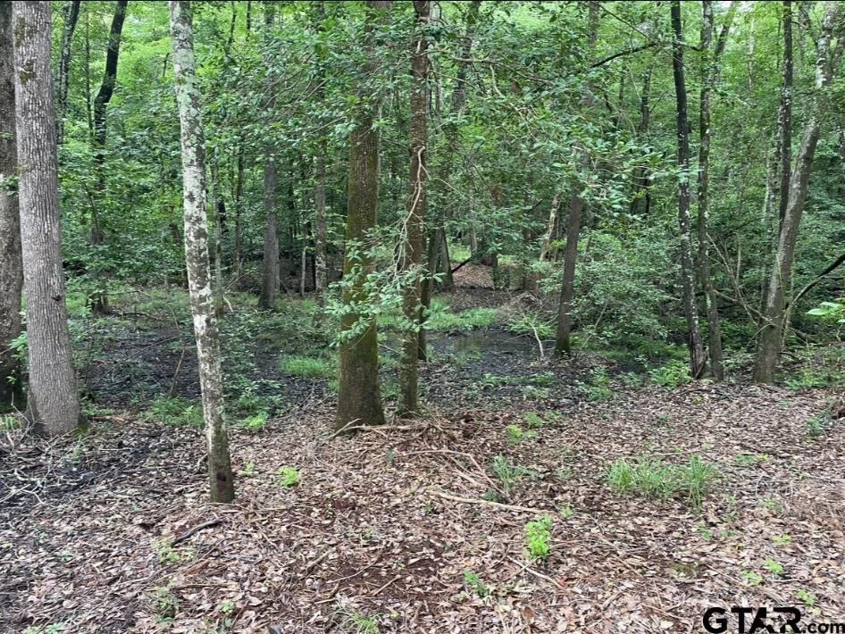 Photo of 1688 County Road 1597