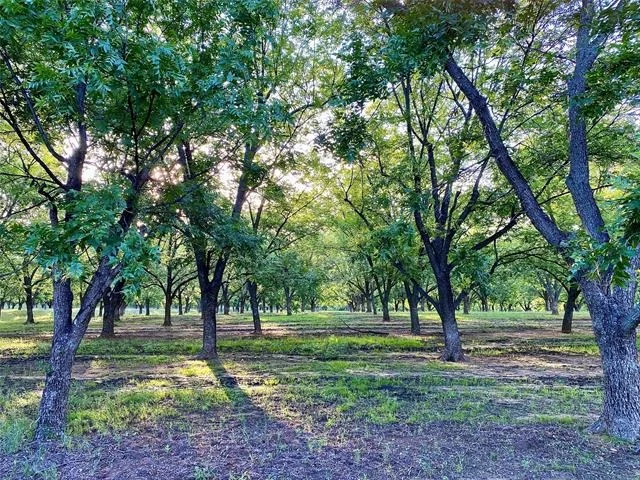 Photo of 751 County Road 424