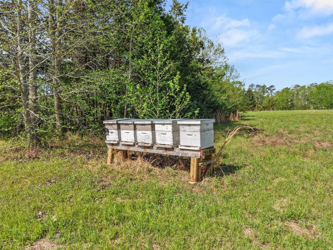 Photo of 1333 Lupine Road