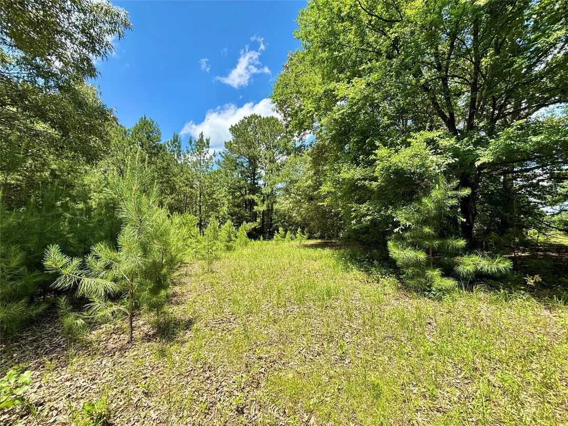 Photo of 5982 Doe Trail