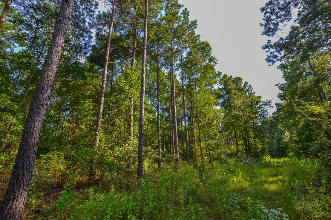 Photo of Tract 3 Hwy 155