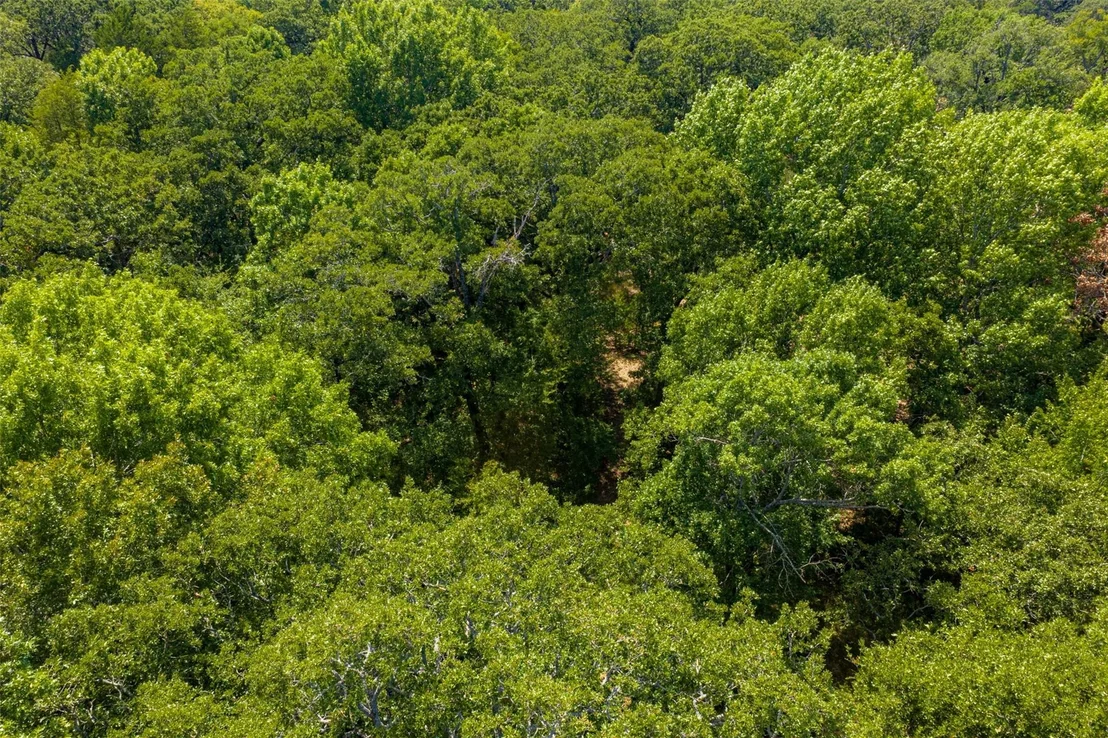 Photo of 11748 River Ranch Road
